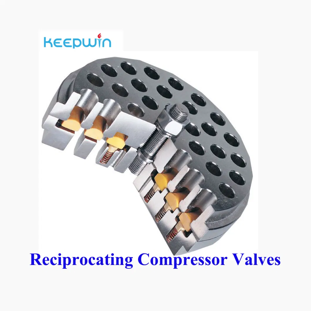 Methane Gas Compressor Natural Compressor Metal Plate Valves Spring Pressure Reduce Valve