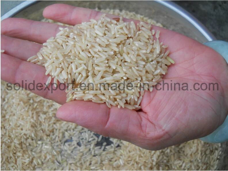 Household Red Rice Black Rice Shelling Machine Commercial Shelling Machine Paddy Huller