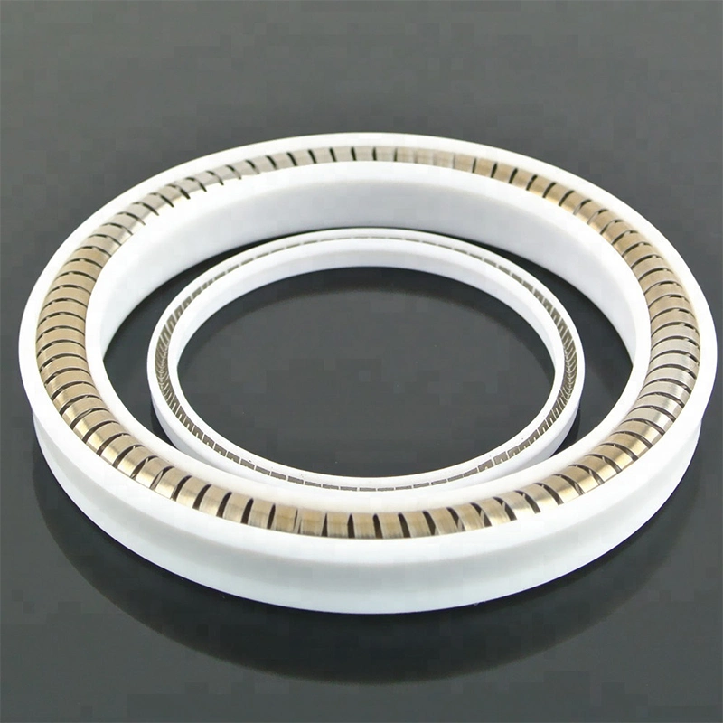 Water Valve Spring Loaded Spring Energized Seal Spring Seal Rubber O Ring Seal