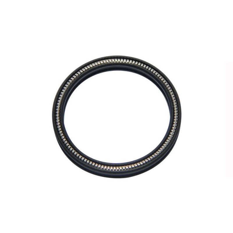 PTFE Spring Energized Seal High Pressure Rotary Rod Piston Hole Shaft Universal Seals