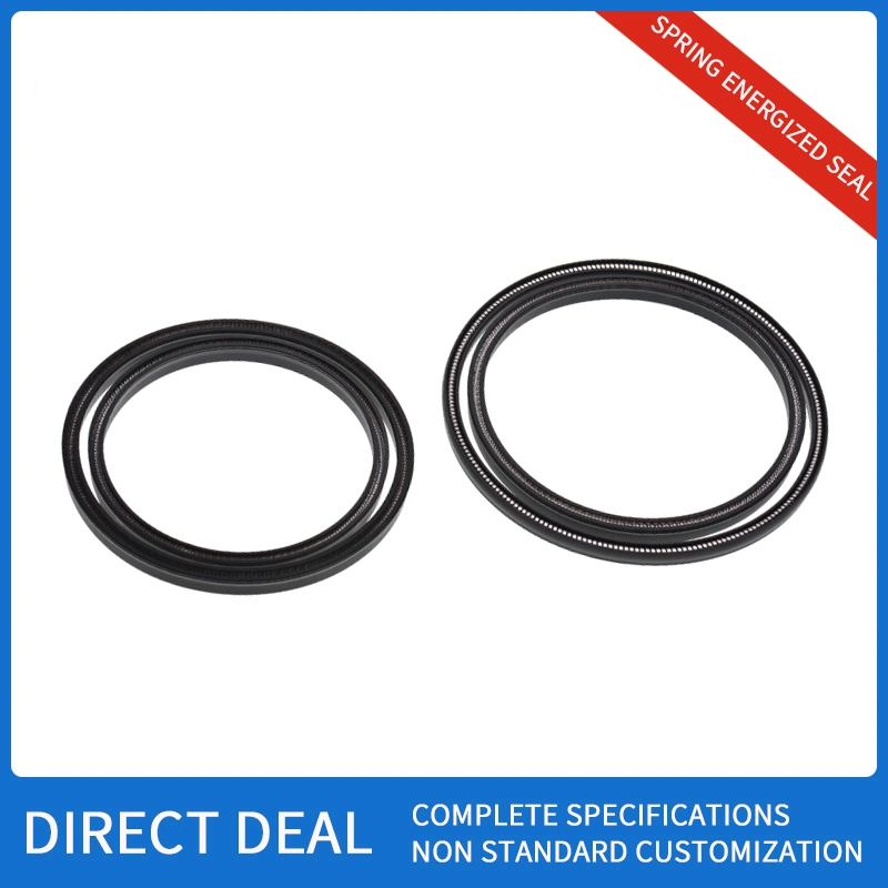 PTFE Spring Energized Seals Peek Double Lip Valve Upe Hydraulic Seal