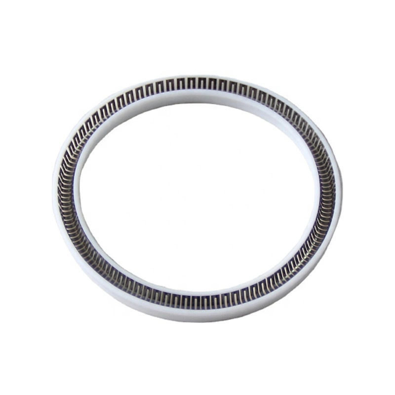 Spring Energized Seal / Variable Seal Spring Seal Sealing Ring Oil Seal