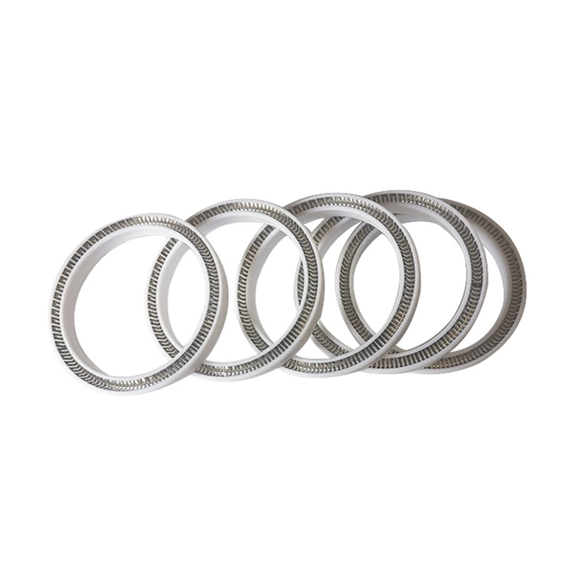 Precision Structure Spring Energizing Seal PTFE Sealing Spring Sealing Ring