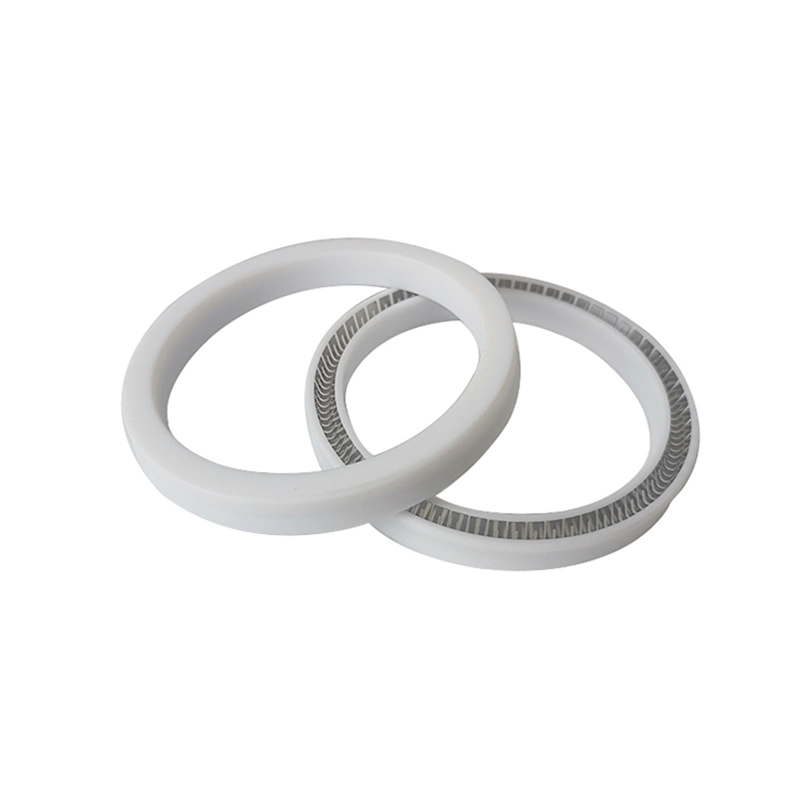 Precision Structure Spring Energizing Seal PTFE Sealing Spring Sealing Ring