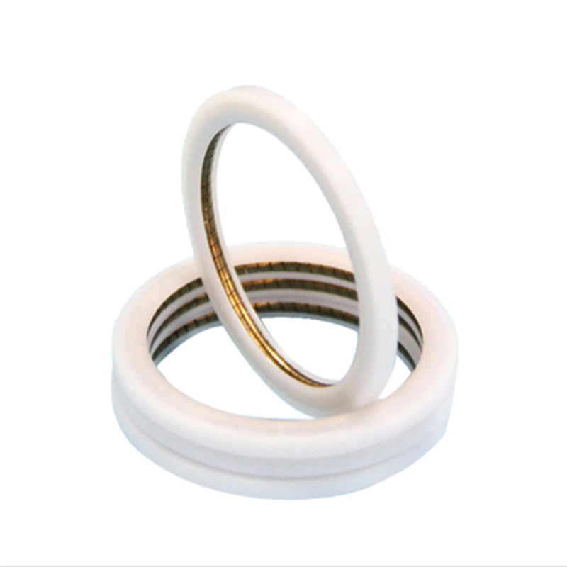 Spring Energized Seal / Variable Seal Spring Seal Sealing Ring Oil Seal