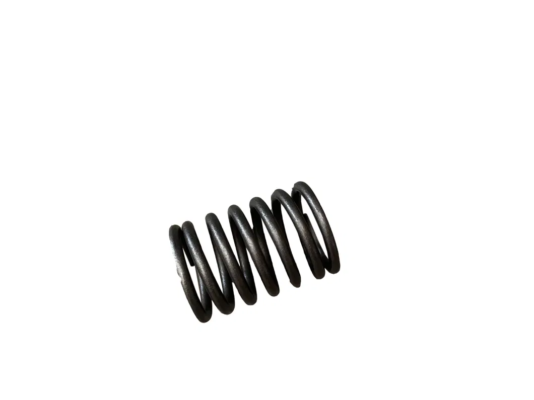 Laidong Factory Price Diesel Engine Part Valve Outer Spring Supplier