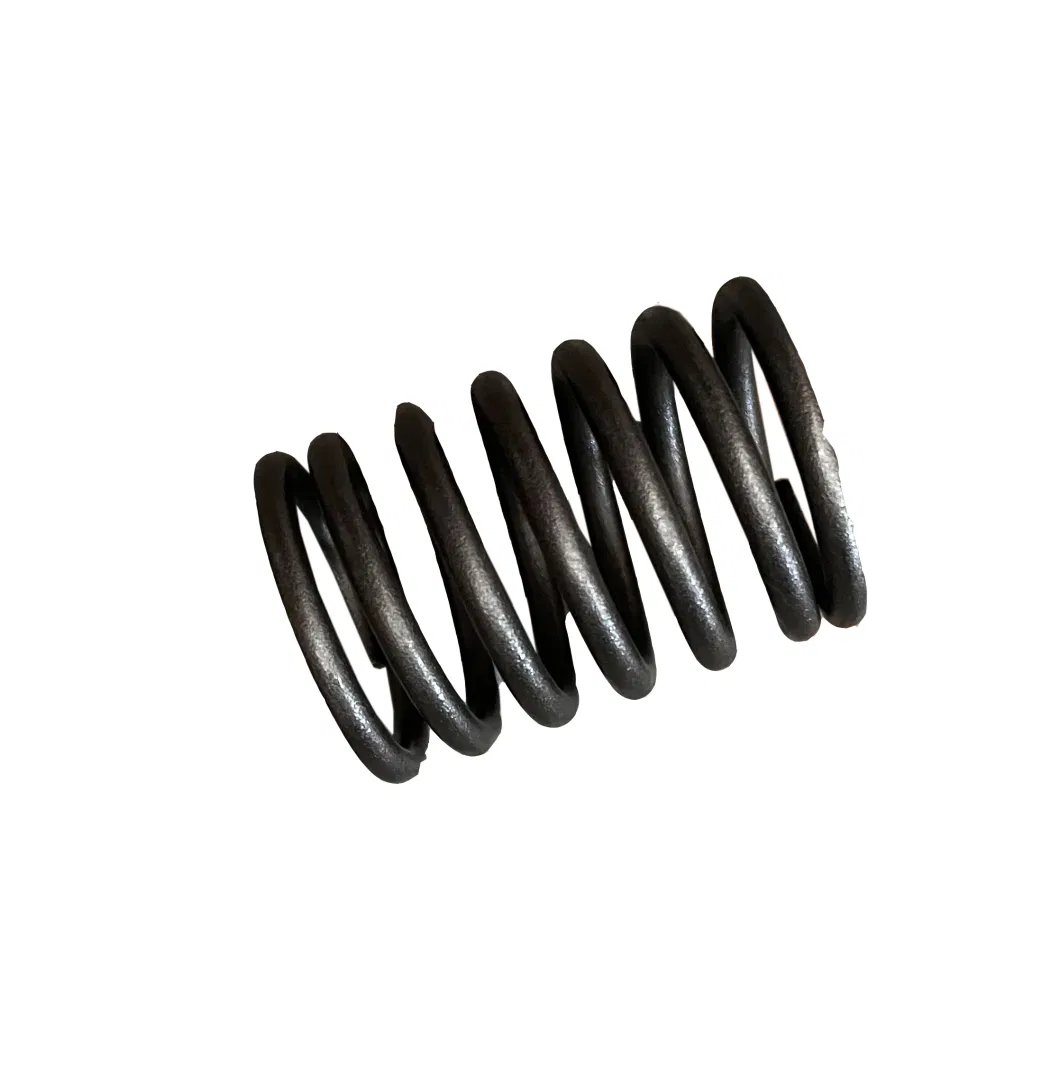 Laidong Factory Price Diesel Engine Part Valve Outer Spring Supplier