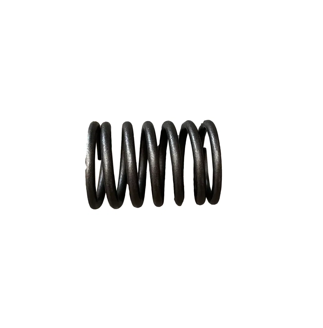 Laidong Factory Price Diesel Engine Part Valve Outer Spring Supplier