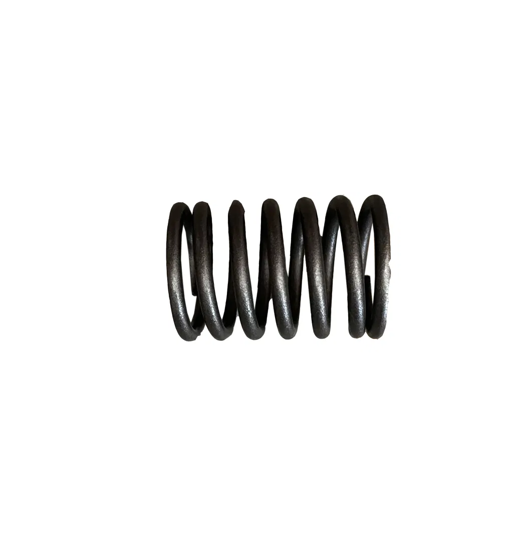 Laidong Factory Price Diesel Engine Part Valve Outer Spring Supplier