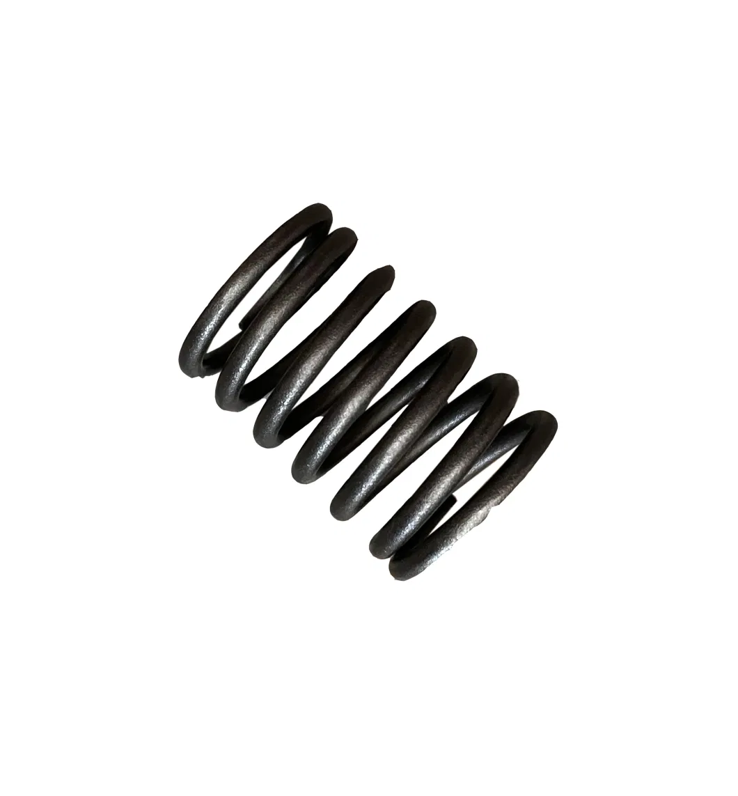 Laidong Factory Price Diesel Engine Part Valve Outer Spring Supplier