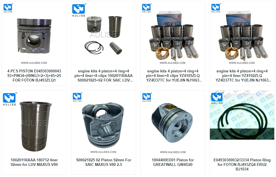Intake Valve 530-1007023c for Yuchai Truck Diesel Engine Parts