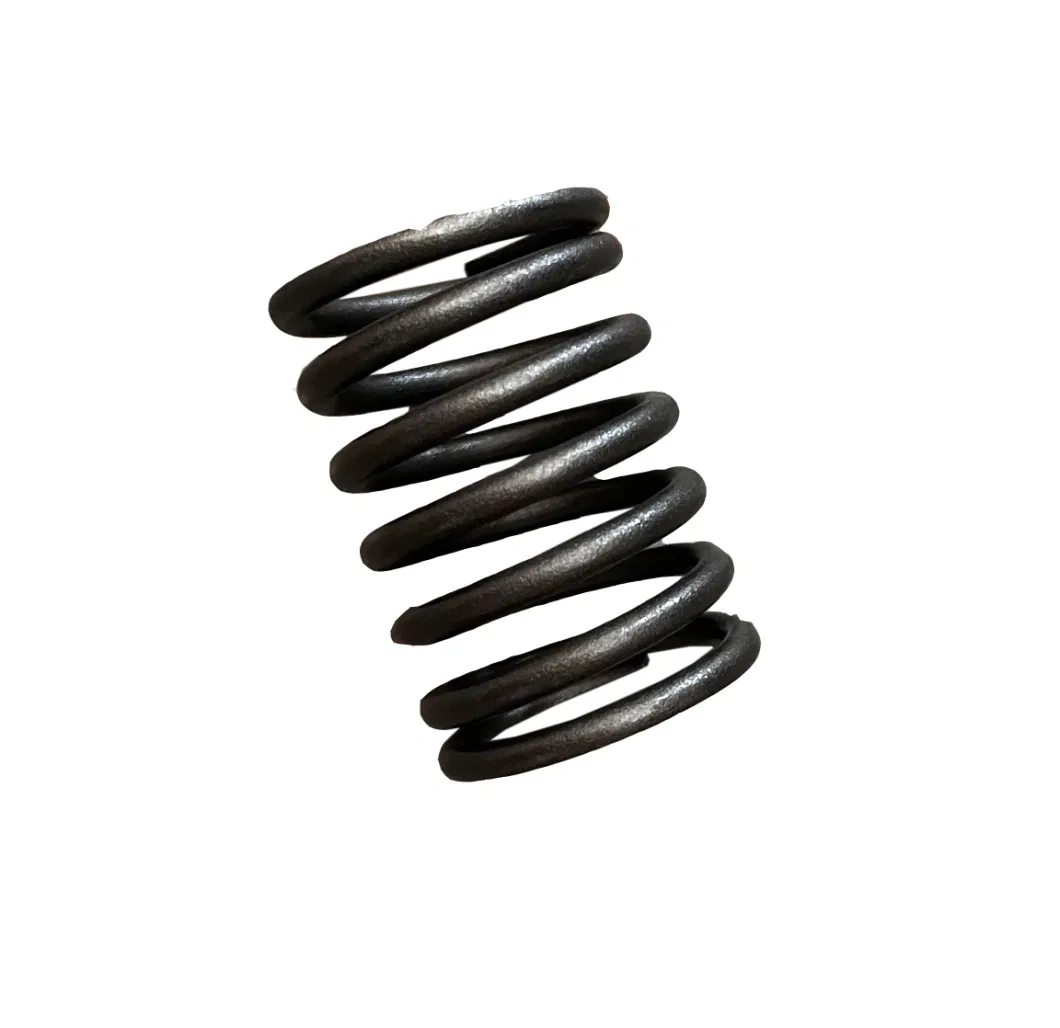 Laidong Factory Price Diesel Engine Part Valve Outer Spring Supplier