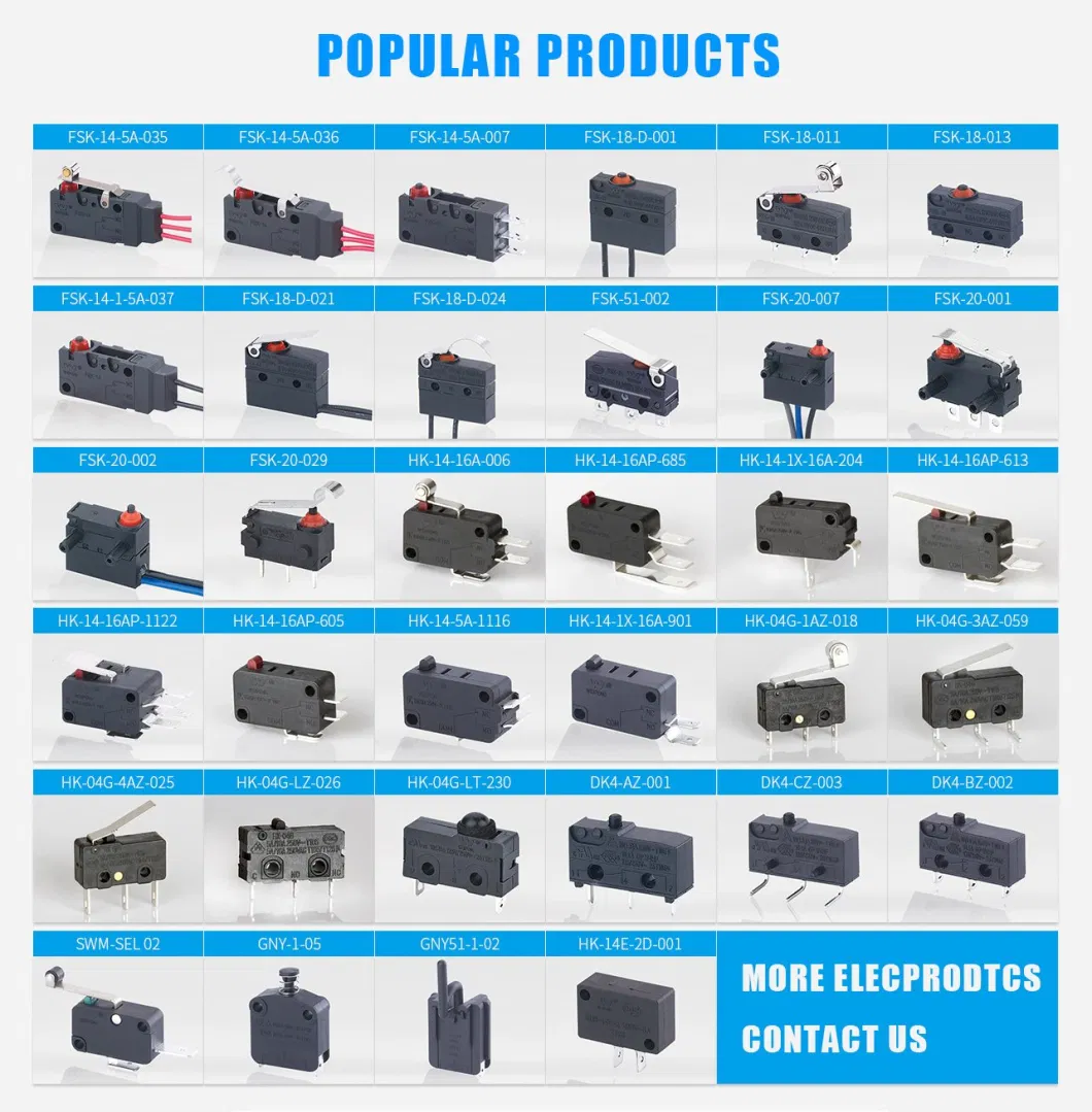 Weipeng 250V 10A 2 Pins Spst No Normally Open Micro Switch Microswitches