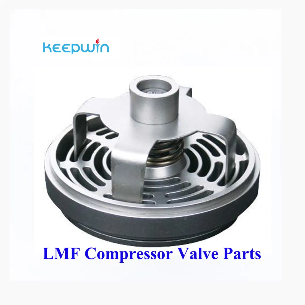 Methane Gas Compressor Natural Compressor Metal Plate Valves Spring Pressure Reduce Valve