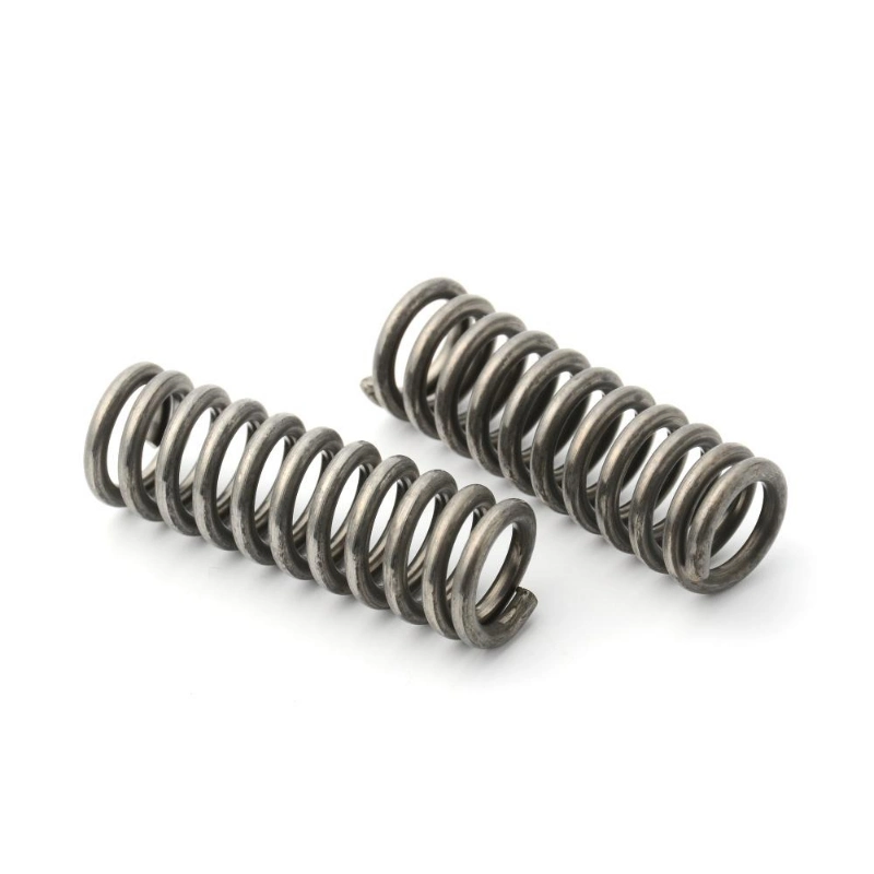 Big Size Flat Coil Springs Metal Spring Stainless Steel Compression Spring