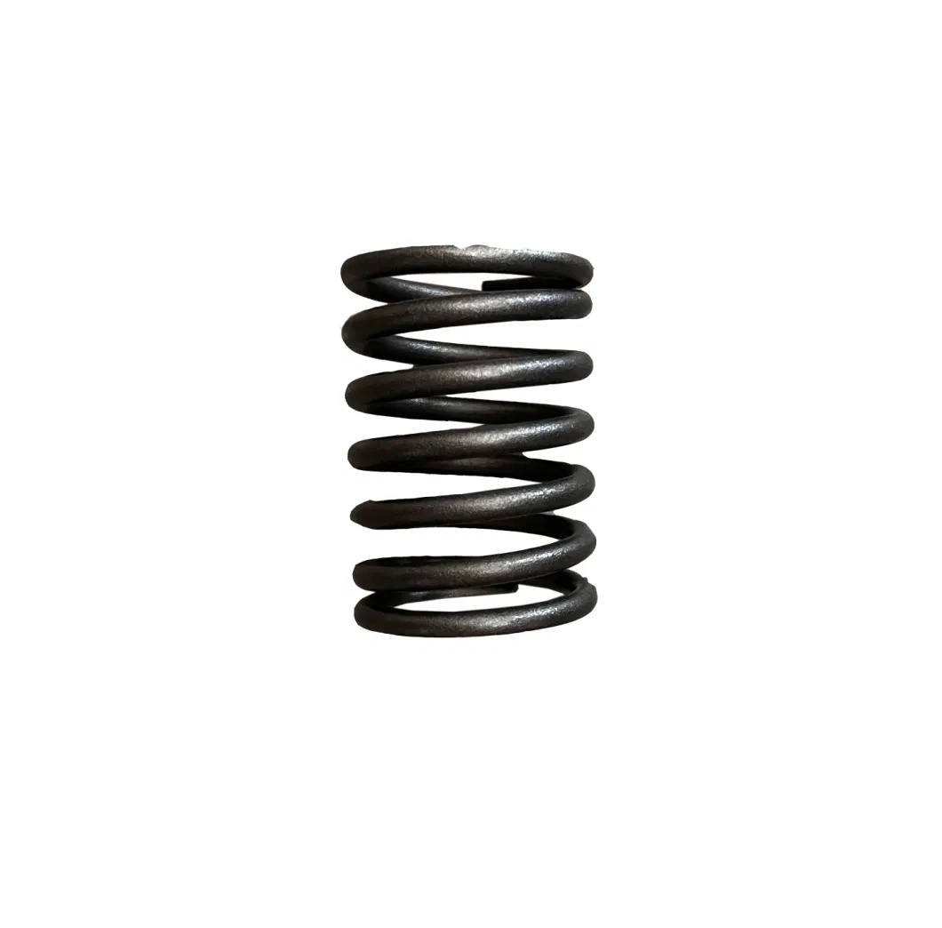 Laidong Factory Price Diesel Engine Part Valve Outer Spring Supplier