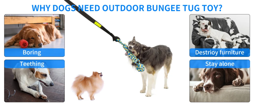 Bestone Outdoor Bungee Tug Toy, Dog Toy Hanging From Tree, Interactive Exercise Play Rope Cord, Durable Spring Pole Rope for Tug of War, with Chew Rope Toy