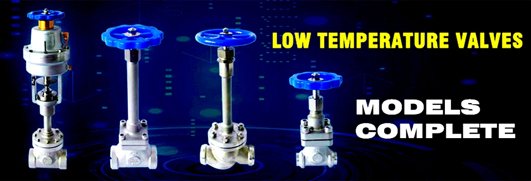 Ultra-Low Temperature Liquid Gas Cryogenic Globe Valve for Dewar Cylinder