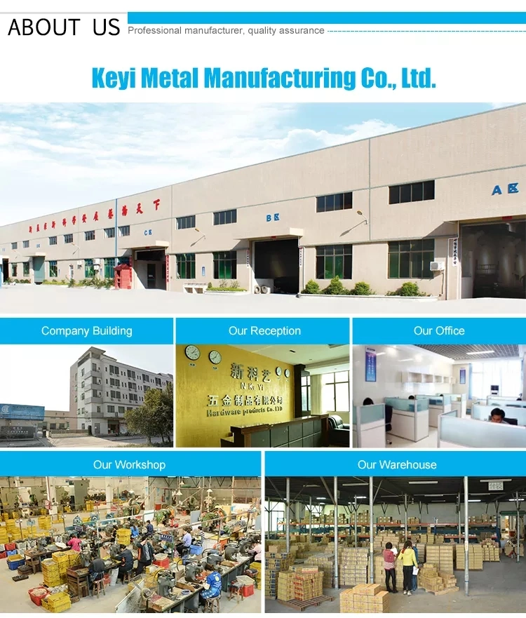 Keyi Metal V-7300 Manufacturer Supply Glass Door Floor Spring