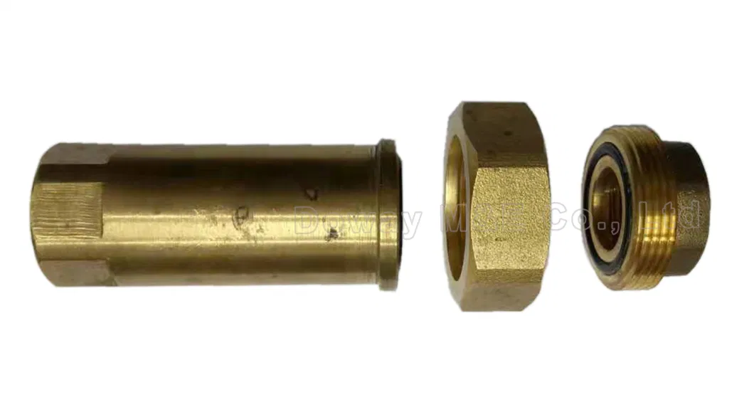 Forged Brass Dual Check Valve for Water Meter