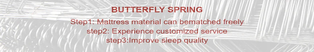 Butterfly Type Components New Design Mattress Support Spring