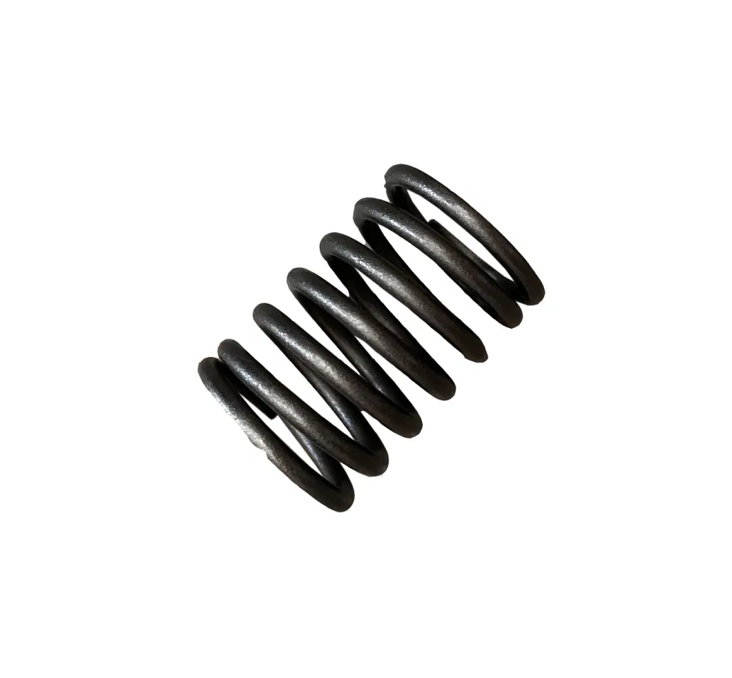 Laidong Factory Price Diesel Engine Part Valve Outer Spring Supplier