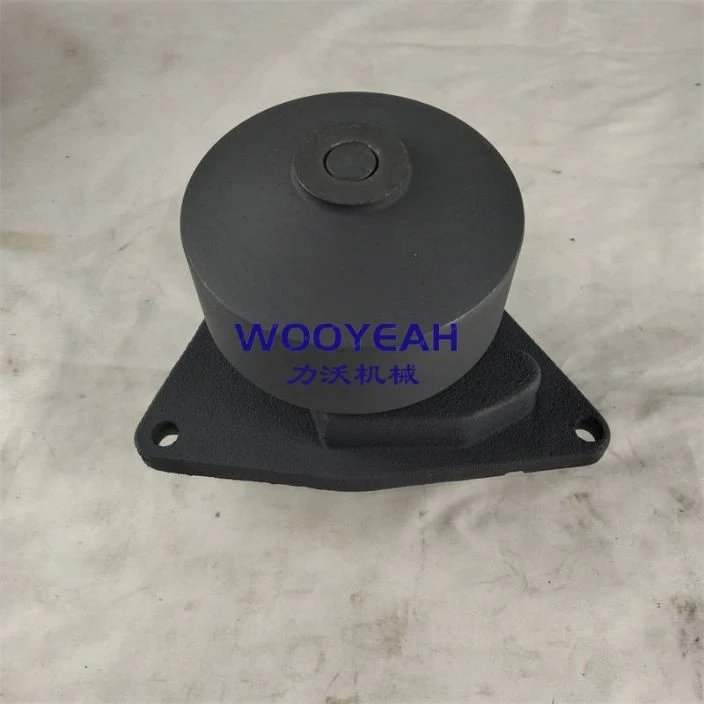 Water Pump 3966841 4110000081010 Sp100733 Sp105539 6CTA8.3-C215 Diesel Engine Parts