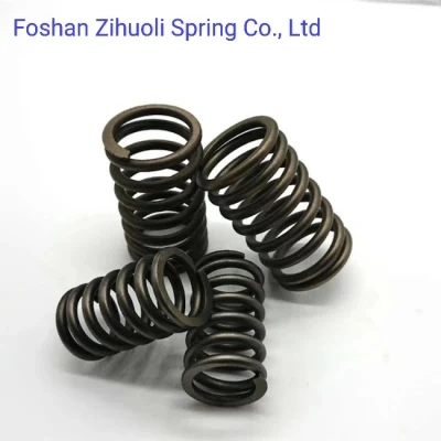 Factory Customized Electrophoresis Process Carbon Compression Metal Spring