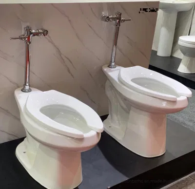  Commercial Elongated Rear Outlet Ada Cupc Top Spud S P Trap Wall Hung Floor Mount 1.28gpf 2.8L Toilet Bowl