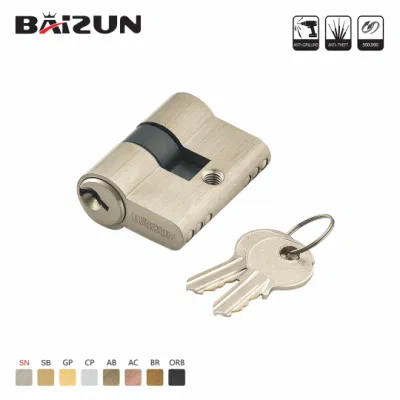  Lock Brand New Technology Euro Profile Cylinder Lock for Household Door Locks and Window Lock