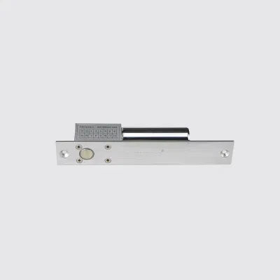 DC 12V Bolts Narrow Door Electric Dead Bolt Lock Electric Drop Lock