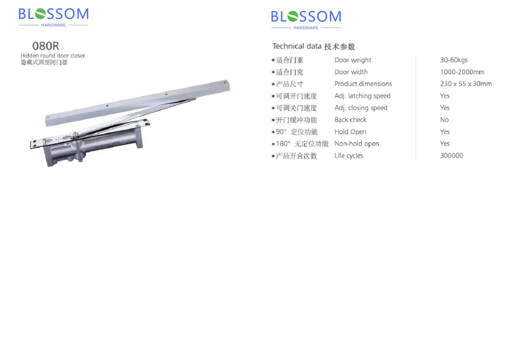 Professional Design Heavy Duty 85kg 180 Degree Mini Hydraulic Sliding Door Closer