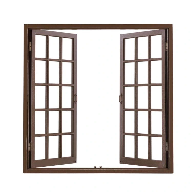 Aluminum Swing Double Door Designs