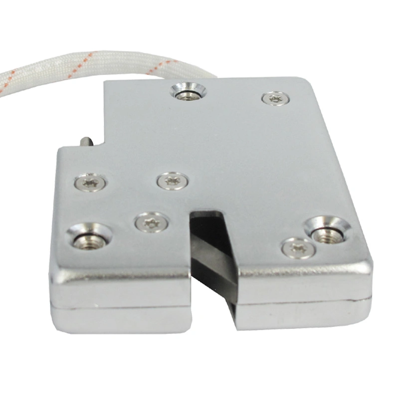 8VDC/12VDC/24VDC Anti-Corrosion Electronic Cabinet Lock for Refrigerated Lockers