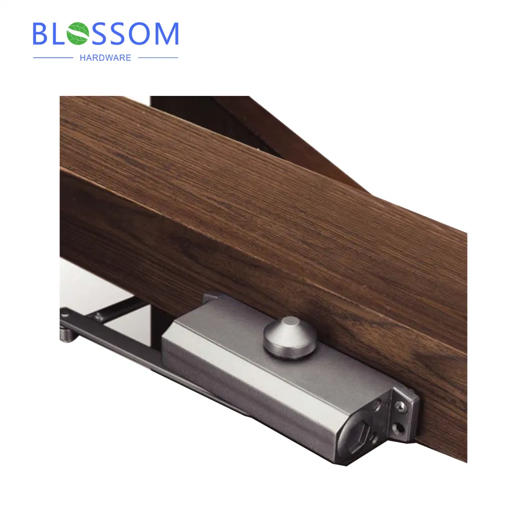 Professional Design Heavy Duty 85kg 180 Degree Mini Hydraulic Sliding Door Closer