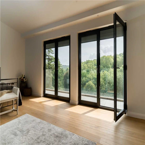 Aluminum Swing Double Door Designs