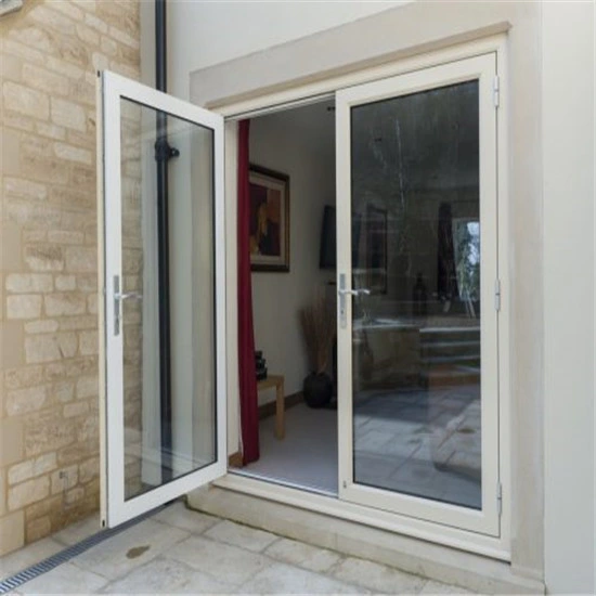 Aluminum Swing Double Door Designs