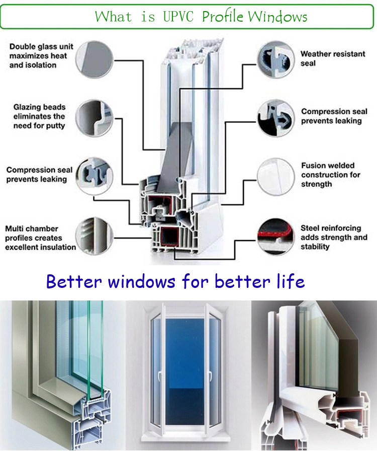 Safety Tinted Glass Plastic/PVC Casement/Side Hinged Windows with Flyscreen