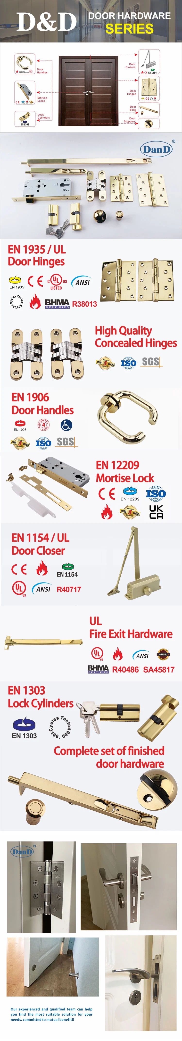 Fire Rated Door Closer Diffenert Color Panic Bar CE BS En Security Hinge Golden Glass Front Polished Brass Lock Hinge Fitting Locking Handle Hardware Set