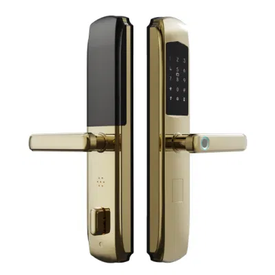 Cerradura de puerta de huellas dactilares, cerradura de puerta electrónica con control de aplicación, llave, código, cerradura inteligente biométrica, antirrobo