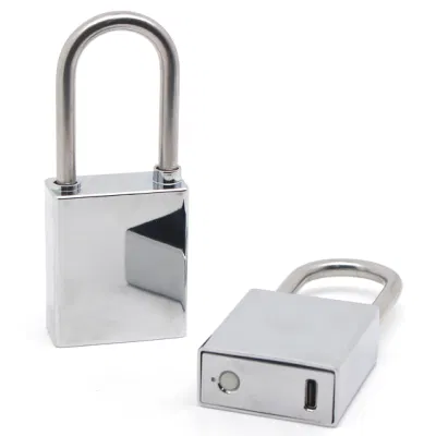 Sistema principal portátil inteligente Anti-Theft Smart Door multifunción Bluetooth Lock Para Puerta