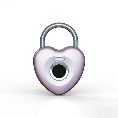 Mini Fingerprint Lock Seguros de seguridad para niños de la cabina de los bebés Bloqueo