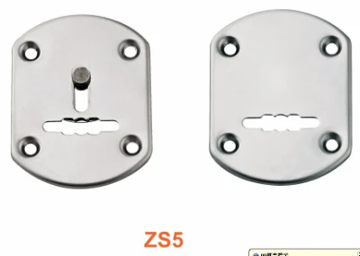 Acero inoxidable de alta calidad de la puerta de seguridad de la tapa del cilindro (ZS5).