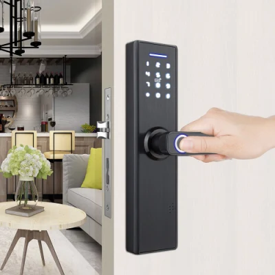Cerraduras electrónicas para habitaciones, manija de puerta de seguridad doméstica, cerradura de puerta inteligente con huella dactilar.