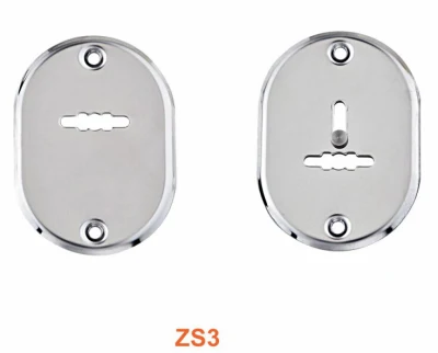 Acero inoxidable de alta calidad de la puerta de seguridad de la cubierta del cilindro (ZS3).