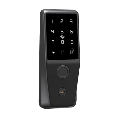 Zhongshan Nuevo diseño de seguridad multifunción cerradura digital inteligente de la puerta Caja de llaves de acero negro