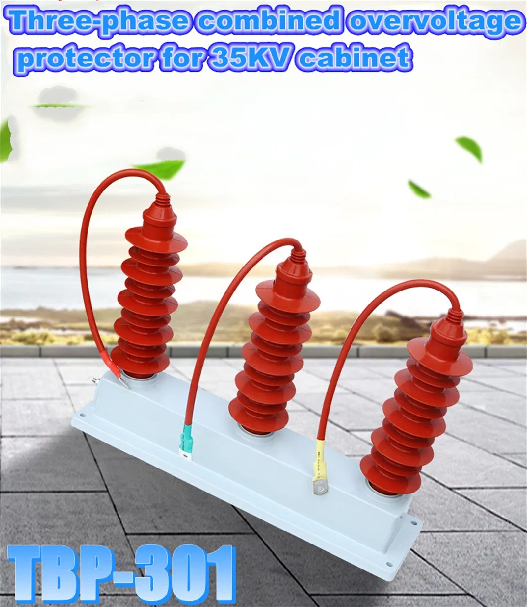 Tbp-200 35kv Three-Phase Combined Overvoltage Protector Lightning Protector