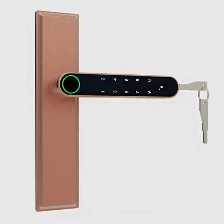 Fingerprint Password Number Electric Door Lock