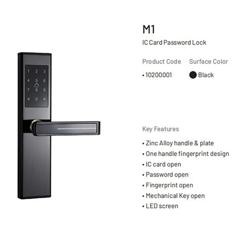 Electronic Fingerprint Biometric Frosted Panel Digital Smart Door Lock