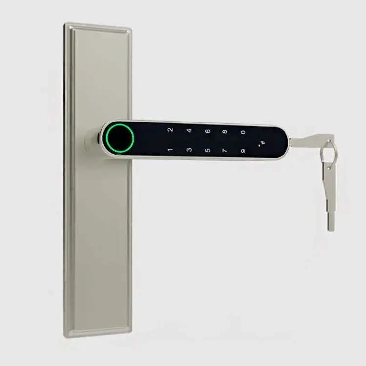 Fingerprint Password Number Electric Door Lock
